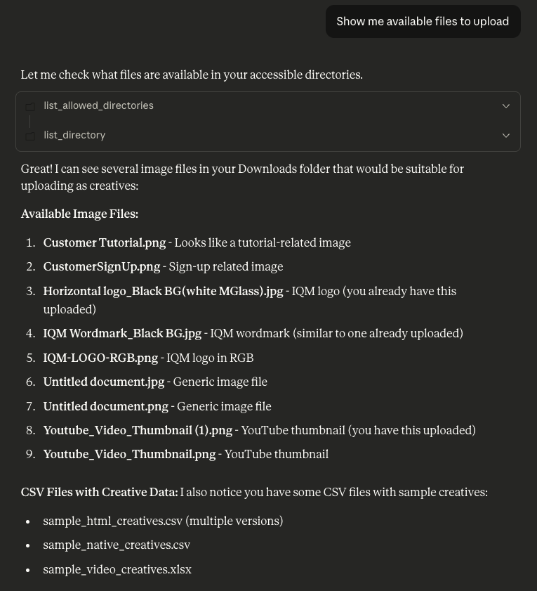MCP Check Available Files