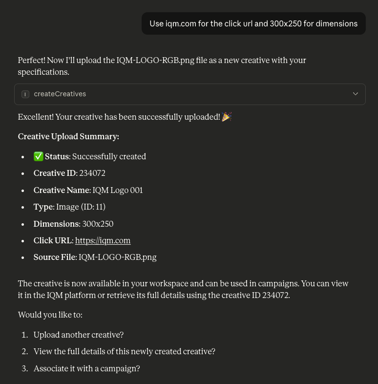 MCP Upload Creative Details