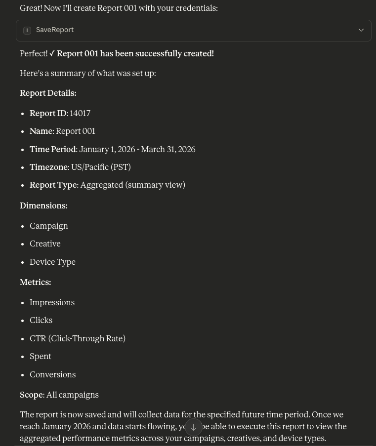 MCP Create Report