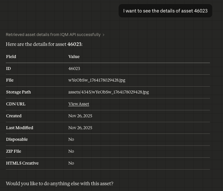 MCP Asset Details