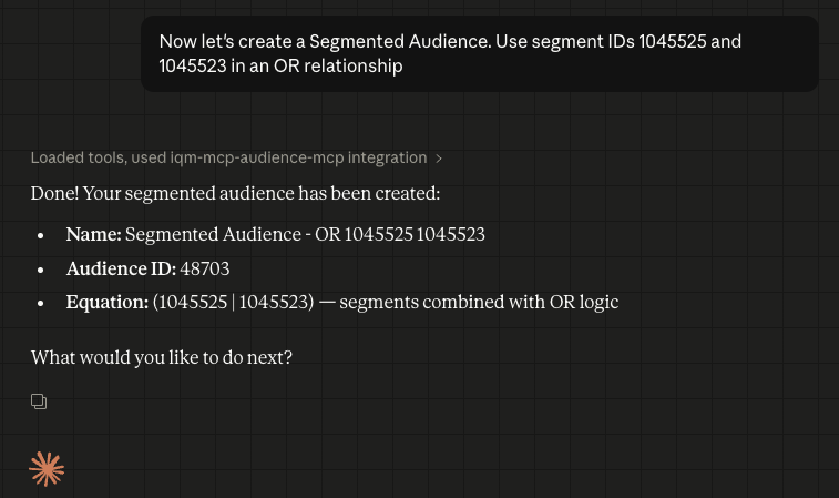 MCP Audience Segmented Step 1