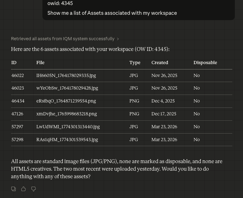 MCP Asset List